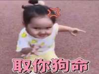 上海运博鹏网络技术有限公司