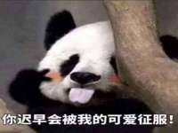 上海运博鹏网络技术有限公司