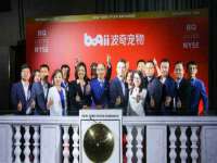 上海运博鹏网络技术有限公司