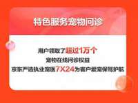 上海运博鹏网络技术有限公司