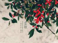 上海运博鹏网络技术有限公司