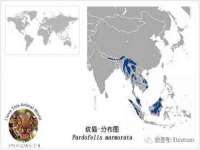 上海运博鹏网络技术有限公司