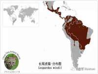 上海运博鹏网络技术有限公司