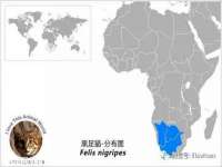 上海运博鹏网络技术有限公司