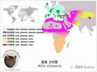 上海运博鹏网络技术有限公司