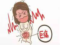 上海运博鹏网络技术有限公司