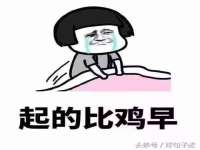 上海运博鹏网络技术有限公司
