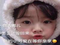 上海运博鹏网络技术有限公司