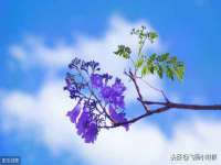 上海运博鹏网络技术有限公司