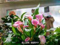 上海运博鹏网络技术有限公司