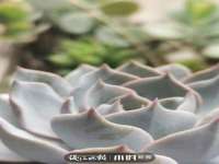 上海运博鹏网络技术有限公司