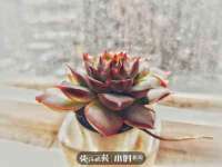 上海运博鹏网络技术有限公司