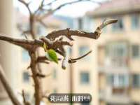 上海运博鹏网络技术有限公司