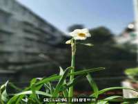 上海运博鹏网络技术有限公司