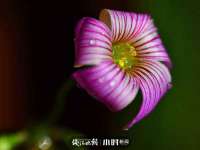 上海运博鹏网络技术有限公司