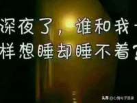 上海运博鹏网络技术有限公司