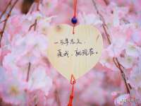 上海运博鹏网络技术有限公司
