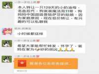 上海运博鹏网络技术有限公司