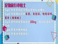上海运博鹏网络技术有限公司
