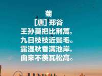 上海运博鹏网络技术有限公司