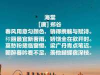 上海运博鹏网络技术有限公司