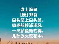上海运博鹏网络技术有限公司
