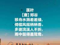 上海运博鹏网络技术有限公司