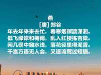 上海运博鹏网络技术有限公司