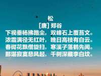 上海运博鹏网络技术有限公司