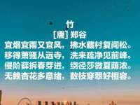 上海运博鹏网络技术有限公司
