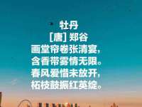 上海运博鹏网络技术有限公司