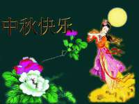 上海运博鹏网络技术有限公司