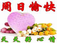 上海运博鹏网络技术有限公司