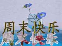 上海运博鹏网络技术有限公司