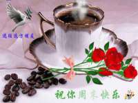上海运博鹏网络技术有限公司