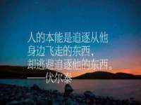 上海运博鹏网络技术有限公司