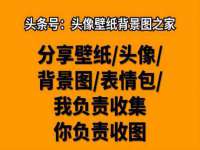 上海运博鹏网络技术有限公司