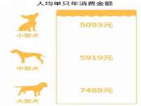 上海运博鹏网络技术有限公司