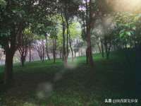 上海运博鹏网络技术有限公司