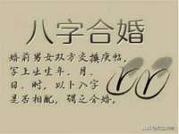 上海运博鹏网络技术有限公司