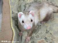上海运博鹏网络技术有限公司