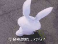 上海运博鹏网络技术有限公司