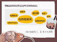 上海运博鹏网络技术有限公司