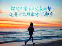 上海运博鹏网络技术有限公司
