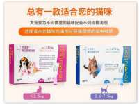 上海运博鹏网络技术有限公司