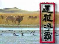 上海运博鹏网络技术有限公司