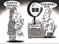 上海运博鹏网络技术有限公司