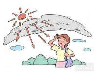 上海运博鹏网络技术有限公司