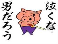 上海运博鹏网络技术有限公司