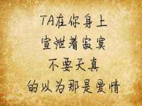 上海运博鹏网络技术有限公司
